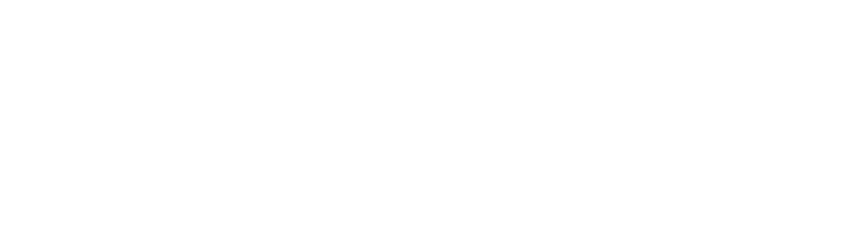 MBMI logo